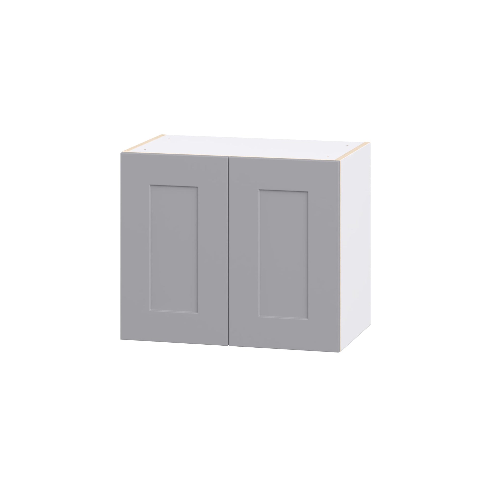 Hugo&Borg Beaumont 24-in W x 20-in H x 14-in D Slate Gray Wall Fully assembled Cabinet Recessed Panel