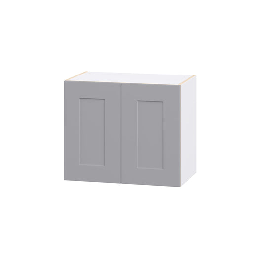 Hugo&Borg Beaumont 24-in W x 20-in H x 14-in D Slate Gray Wall Fully assembled Cabinet Recessed Panel